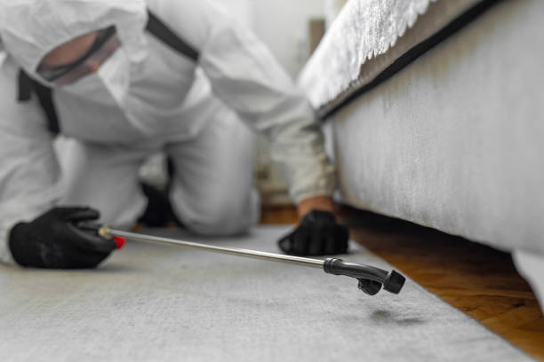 Professional Bed Bug Control technician working in Pine Lake Park, NJ